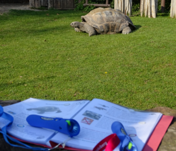 Vorlesestift und Schild vor dem Gehege der Schildkröte