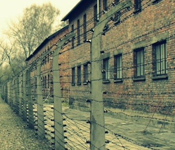 Ein Zaun aus Stacheldraht vor dem Lage in Auschwitz