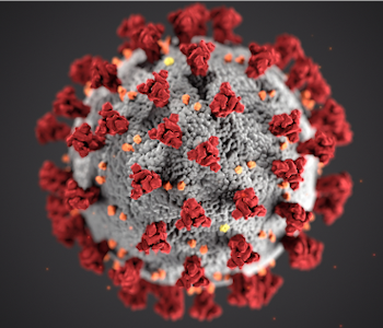 Foto von einem vergrößerten Coronavirus.