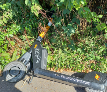 Ein E-Roller liegt im Gebüsch.